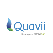 Quavii Logo